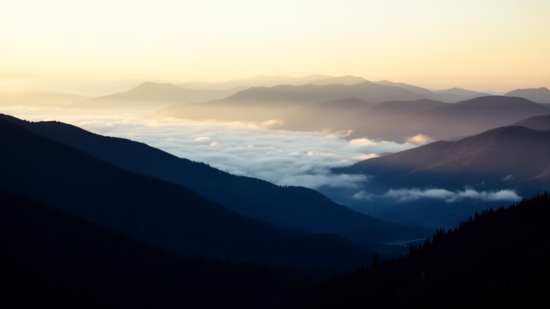 Calm cinematic landscape backing executive stock option and equity compensation planning
